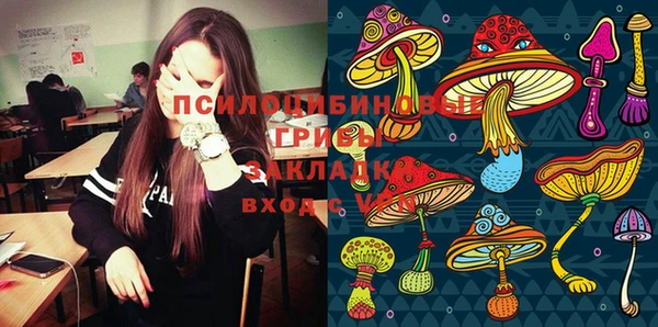 прущие грибы Балабаново