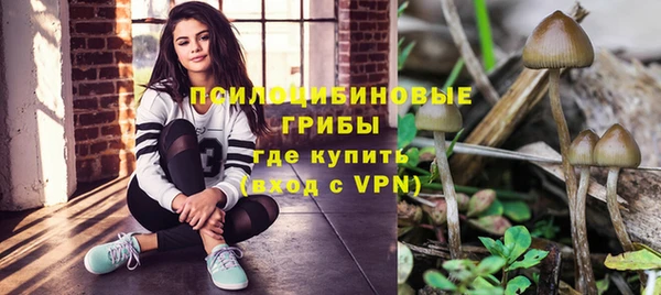 трава Беломорск