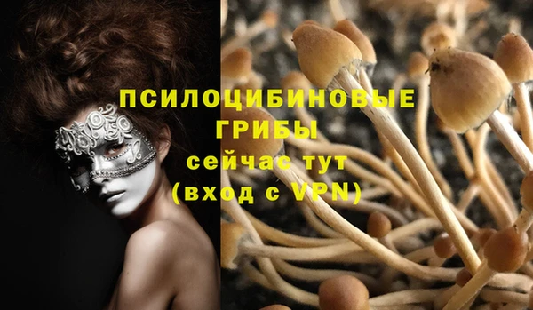 гашиш Белокуриха
