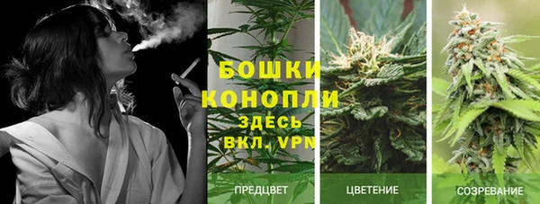 гашиш Белокуриха